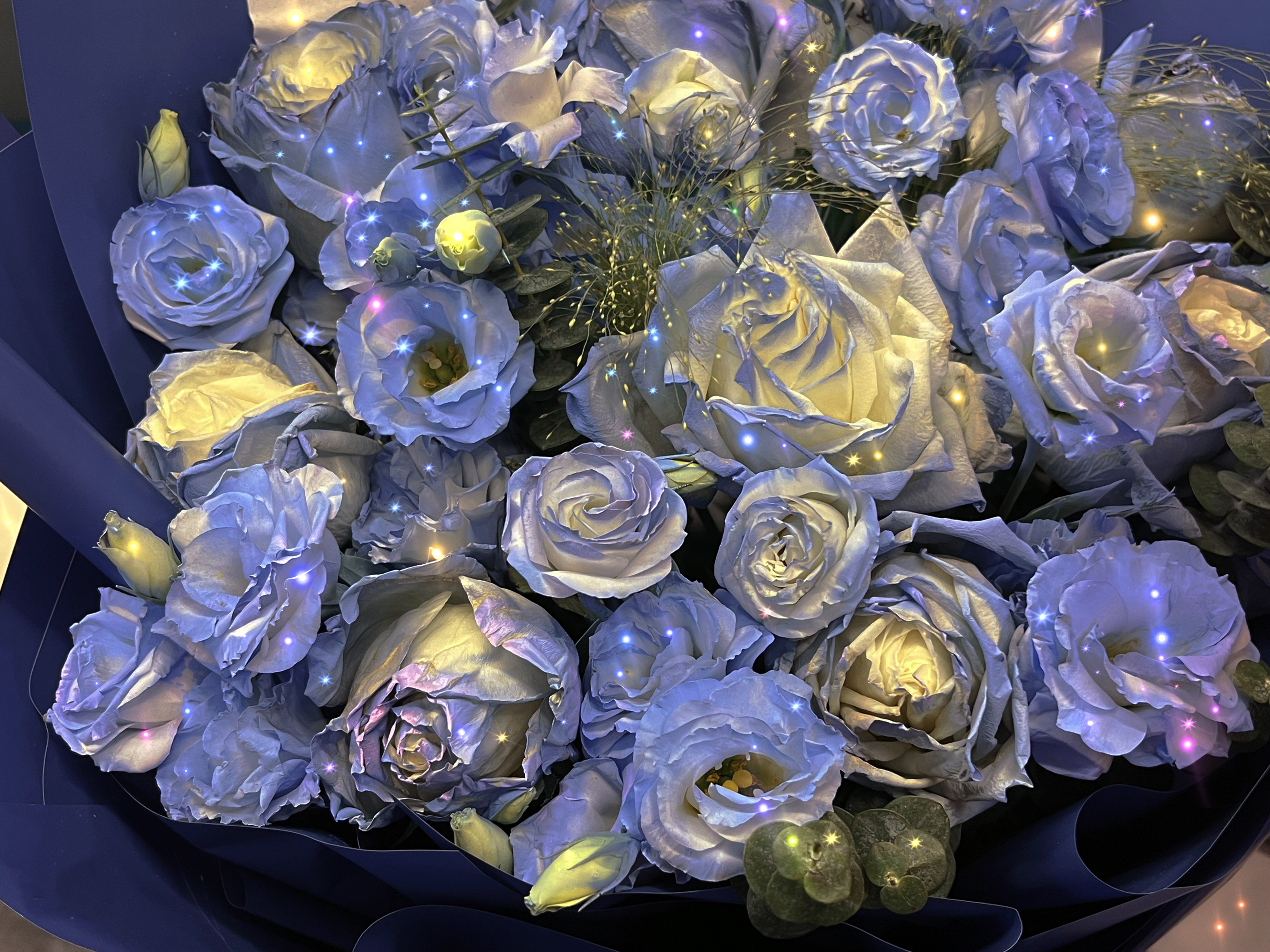 a93d990d0fe7eabda26e3f152bb09871672342685.jpg